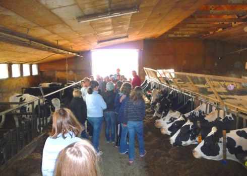 Hoferlebnis im Kuhstall