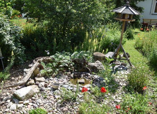 Klimafreundlicher Schulhof Daria Junggeburth